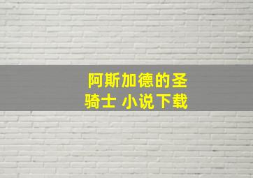 阿斯加德的圣骑士 小说下载